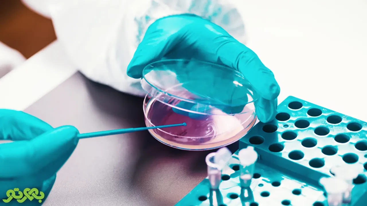 رشته میکروبیولوژی در 8 ترم یا همان 4 سال تدریس میشود.