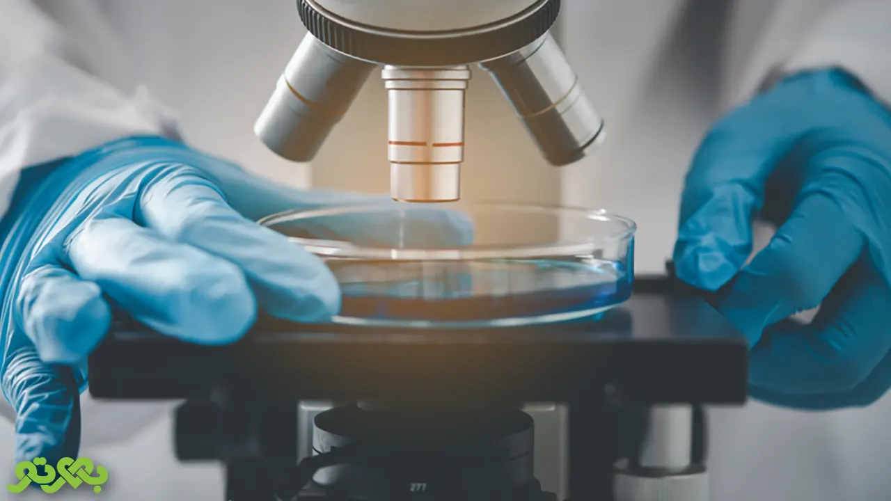 رشته میکروبیولوژی در دانشگاه های مختلف دولتی و غیردولتی تدریس میشود.